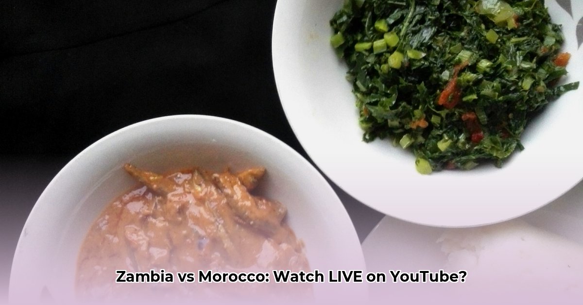 zambia-vs-morocco-live-today-youtube